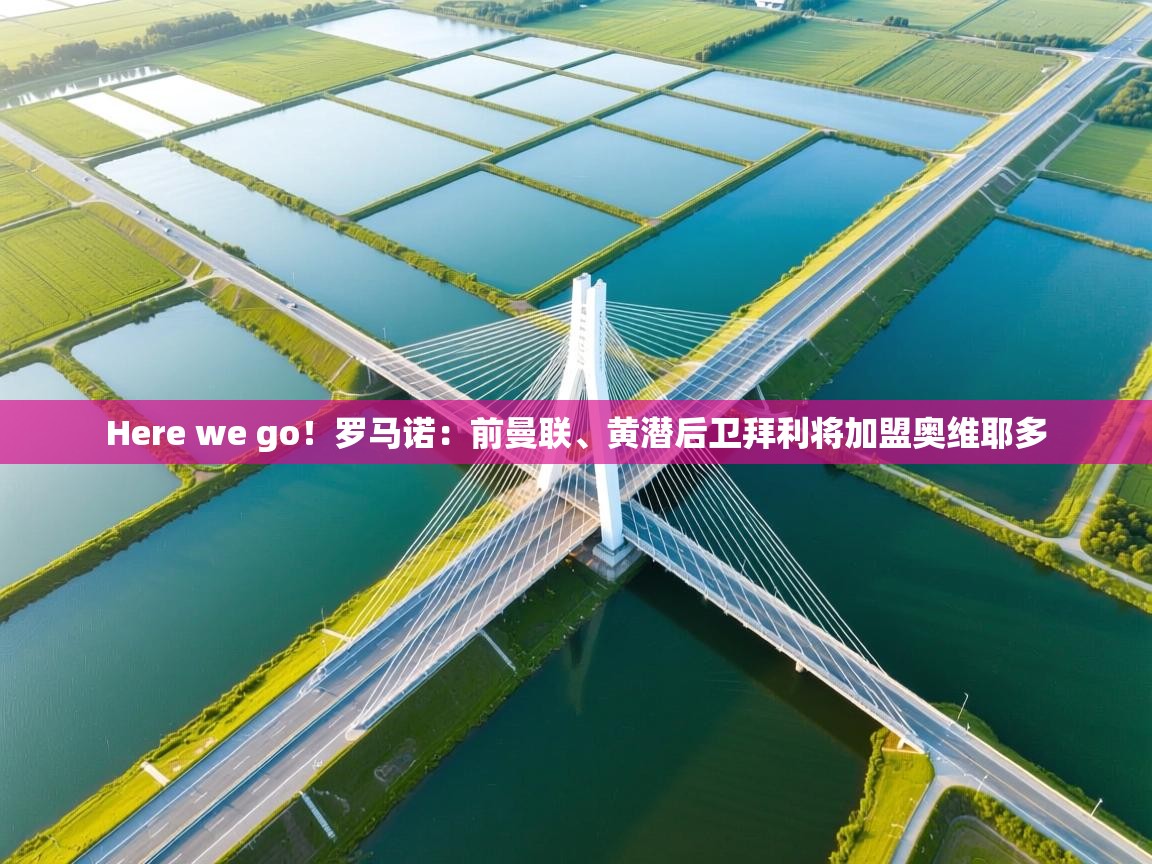 Here we go!罗马诺:前曼联、黄潜后卫拜利将加盟奥维耶多 Here we go!罗马诺:前曼联、黄潜后卫拜利将加盟奥维耶多