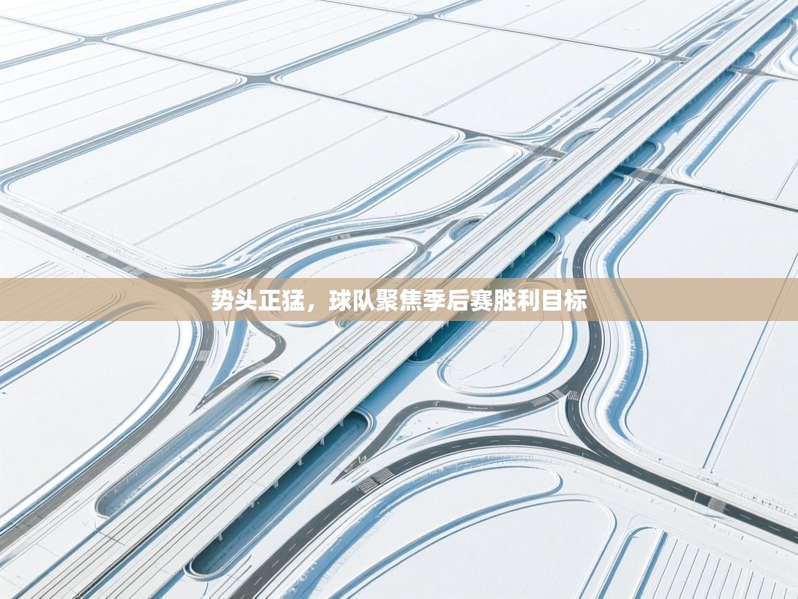 势头正猛，球队聚焦季后赛胜利目标