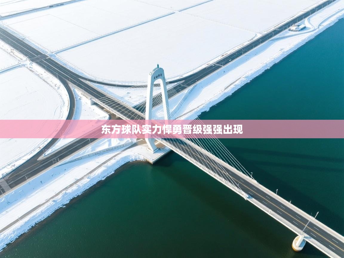 kaiyun-东方球队实力悍勇晋级强强出现  第1张