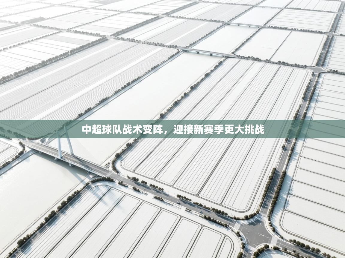 中超球队战术变阵，迎接新赛季更大挑战