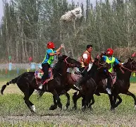 关于探讨：疯狂角逐激情无限，正所谓名不虚传的信息